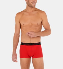 Lot de 2 Caleçons Boxerlines #2 HO1 Hom