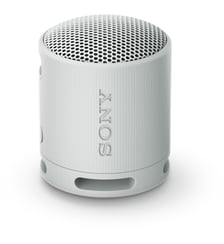 Enceinte portable SRS-XB100 Gris Perle Sony