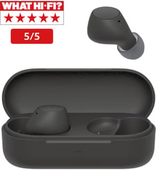 Ecouteurs WF-C510 Noir Sony