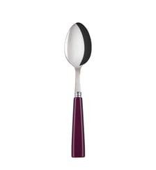Cuillère à soupe, Icône Sabre