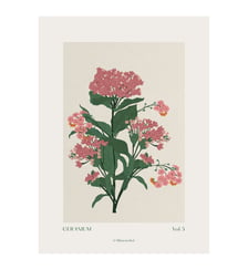 Poster A Linear Dot - Geranium Poster & Frame