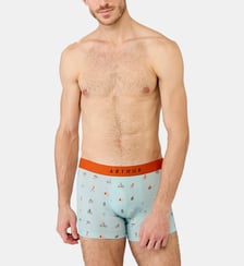 Boxer - Camping Arthur