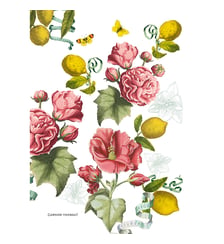 Torchon lin & coton lavé 190 g/m² imprimé multicolore Citrons de menton romance Garnier Thiebaut