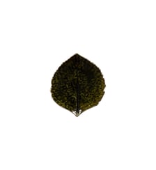 Feuille Hortensia Petite Riviera Costa Nova