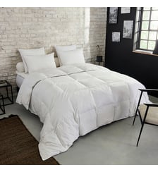 Couette Premium Naturelle Tempérée - 30% duvet Dunlopillo