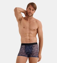 Boxer Aubade