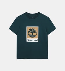 Tee-shirt manches courtes Timberland