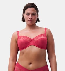Soutien-gorge emboîtant broderie italienne Chantelle