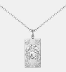 Collier en Acier Phebus