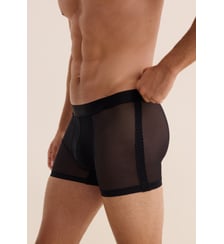 Boxer Aubade