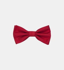 Nœud papillon Pas de manchon Seidensticker