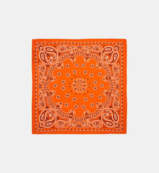 Petit foulard à motifs PAISLEY Wild