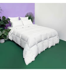 Couette TEMPEREE 40% Duvet - Coton - Marguerite Wake Me Green