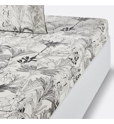 Drap housse percale coton bonnet 30 cm La Redoute Interieurs