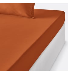 Drap housse enfant en percale de coton, 80 fils La Redoute Interieurs