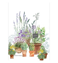 Torchon lin & coton lavé 190 g/m² imprimé multicolore Jardin aromatique provence Garnier Thiebaut
