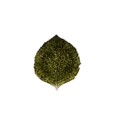 Assiette de présentation Riviera feuille hydrangea grès vert forêt 22 x 19 x 3 cm Costa Nova