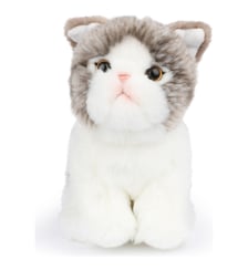 Peluche Bt Chaps