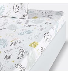 Drap housse percale de coton La Redoute Interieurs