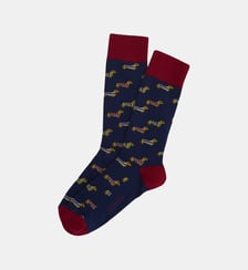 Chaussettes en coton - Teckel Marine Arthur