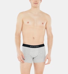 Boxer Gris - Tradi Arthur