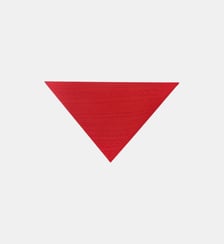Grand triangle Sacha Bompard