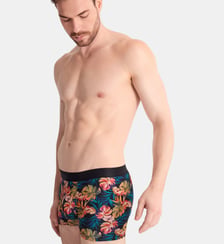 Boxer classique Aubade