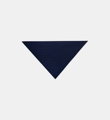 Grand triangle Sacha Bompard