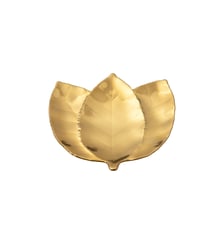 Feuille de Bouleau Botanica Costa Nova