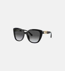 Lunettes de soleil Papillon EA4214U Emporio Armani