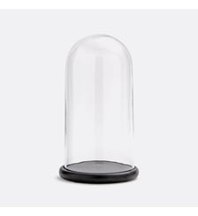 Cloche en verre avec socle noir Campa La Redoute Interieurs