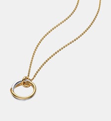 Collier à Pendentif Bicolore de Forme Organique Pandora