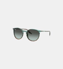 Lunettes de soleil Pantos RB2204 Ray Ban