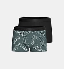 Pack 2 Boxers d'homme en Lyocell Impetus