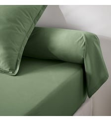 Taie de traversin en percale de coton, 80 fils La Redoute Interieurs