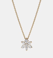 Collier à Pendentif Herbier Scintillant Pandora