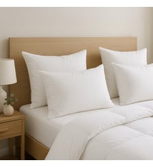 Oreiller Rêveur - Medium Dunlopillo