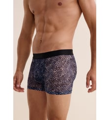Boxer Aubade