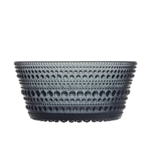 Bol gris foncé 0,2l Iittala