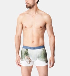Boxer - Panthère des Neiges Arthur