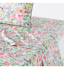 Drap plat percale de coton La Redoute Interieurs