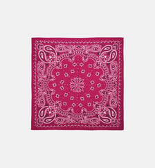 Petit foulard à motifs PAISLEY Wild