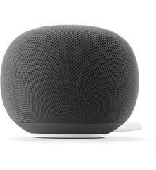 Assistant vocal Home Speaker Vert Sauge Google