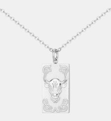 Collier en Acier Phebus