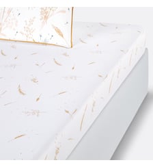 Drap housse pur coton La Redoute Interieurs