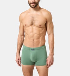 Boxer - Bob Mousse Arthur