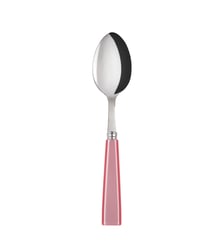 Cuillère à soupe, Icône Sabre