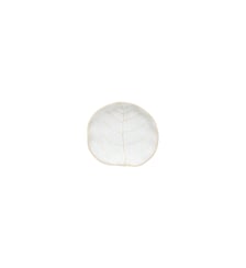 Assiette à Apéritifs Silvina Costa Nova