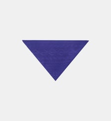 Triangle Sacha Bompard