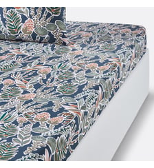 Drap housse percale de coton La Redoute Interieurs